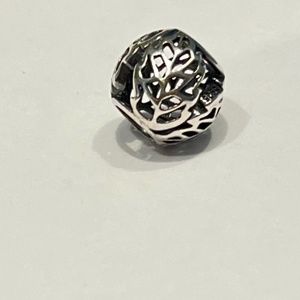Retired Pandora Autumn Bliss Charm